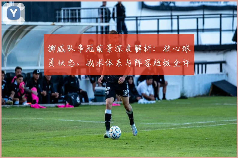 挪威队争冠前景深度解析：核心球员状态、战术体系与阵容短板全评估