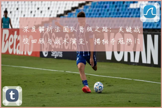 深度解析法国队晋级之路：关键战役回顾与战术演变，揭秘夺冠热门养成记